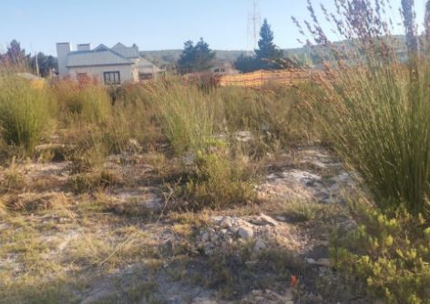 0 Bedroom Property for Sale in Albertinia Western Cape